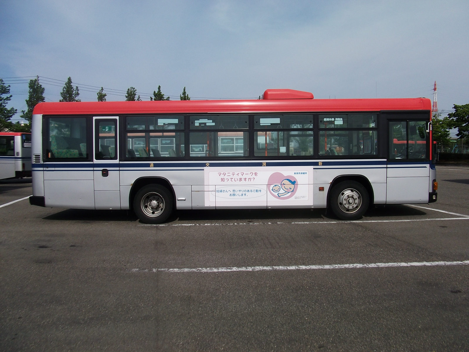 wide01